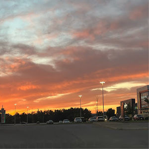 Meet your Posher, Maya